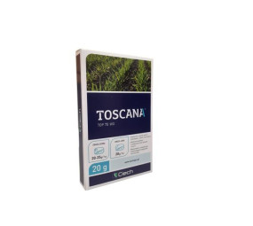 Toscana Top 75 WG