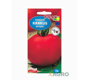 Pomidor Krakus
