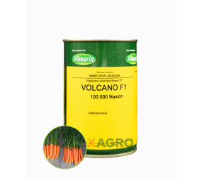 Marchew   Volcano F1
