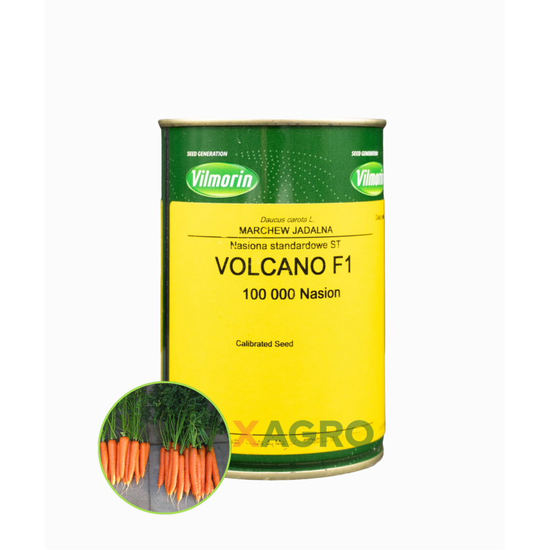 Marchew   Volcano F1