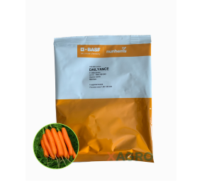 Marchew Dailyance F1
