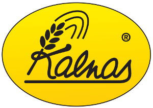 Kalnas