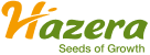 Hazera