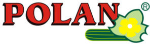 Polan